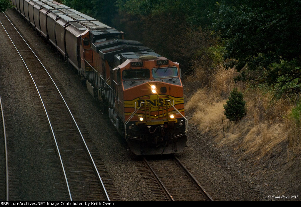 BNSF 4637